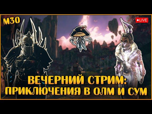 Приключения в ОЛМ и СУМ   Neverwinter Online  M30