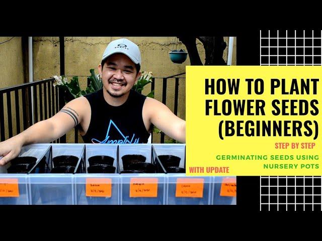 How to Plant Flower Seeds Using Nursery Pots (Step-by-Step) | Beginners (Episode 1)