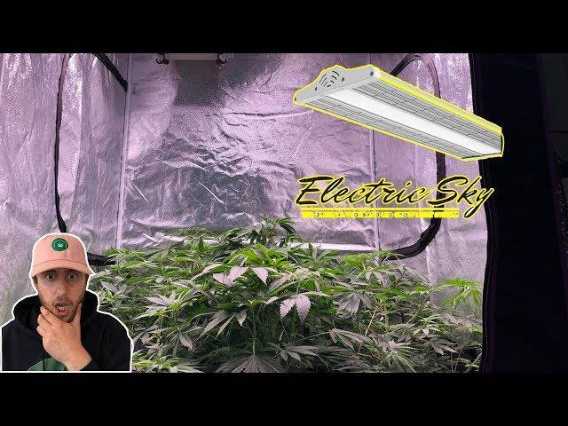 Unboxing the Electric Sky ES300 LED by The Green Sunshine Company