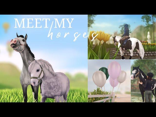 Meet My Horses || SSO RRP