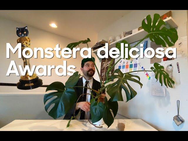 Second Annual Monstera Awards