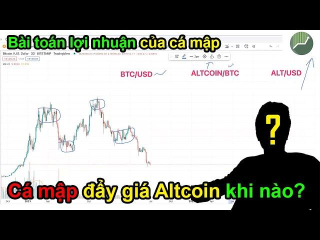 Công thức đẩy giá Altcoin của CÁ MẬP trong thị trường Crypto | ALden Nguyen