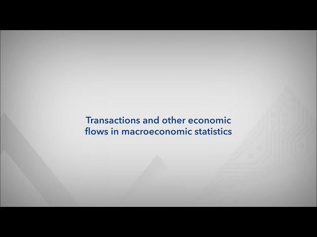 Transactions and other economic flows in macroeconomic statistics