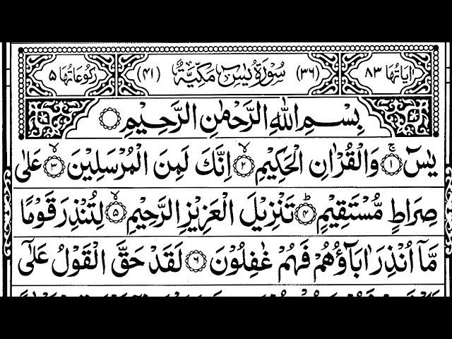 Surah Yasin | quran tilawat | Daily Quran Tilawat Surah Yaseen Full Surah Rahman Surah Waqiah