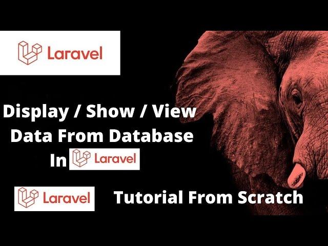 Display / Show / View Data From Database in Laravel | Laravel Tutorial For Beginners