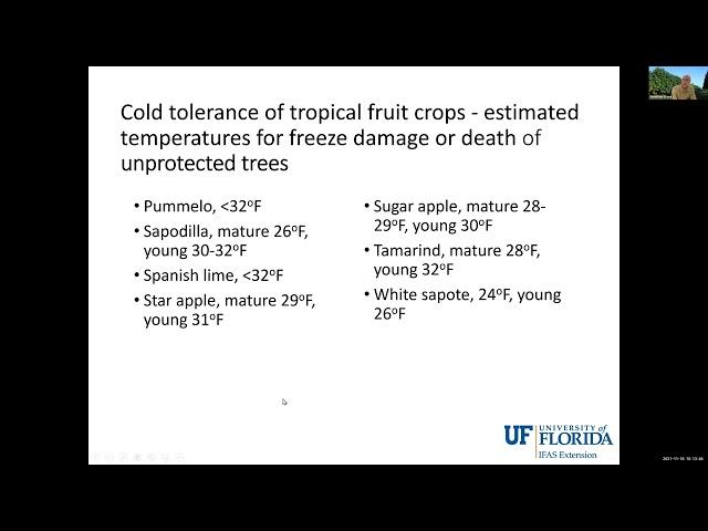 Freeze Protection of Tropical Fruit crops in Florida - Dr. Jonathan Crane