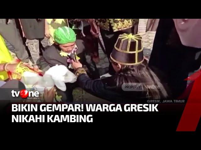 Heboh Pernikahan Tidak Lazim Terjadi di Gresik | Kabar Siang tvOne