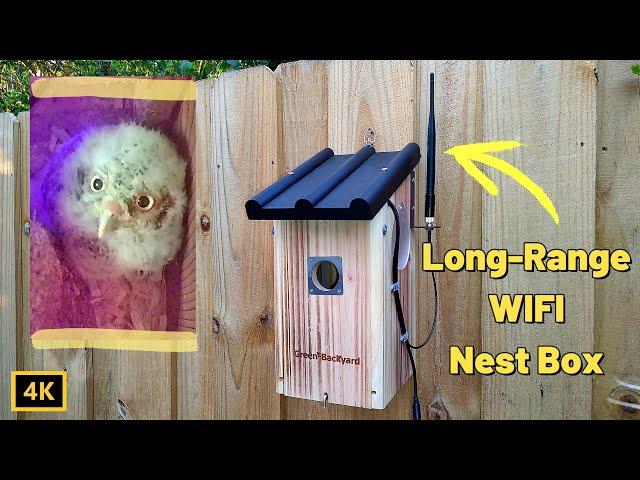 Green Backyard Long-Range WIFI Bird Nest box Camera Review Setup and Streaming Demo