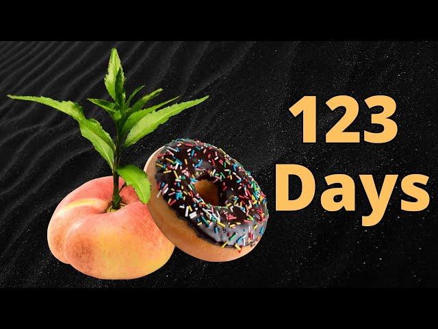 Growing a Donut PEACH Tree from Seed Time Lapse