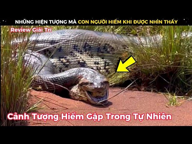 Những Hiện Tượng Cực Kì Hiếp Gặp Trong Tự Nhiên Không Phải Ai Cũng Biết || Review Giải Trí Đời Sống