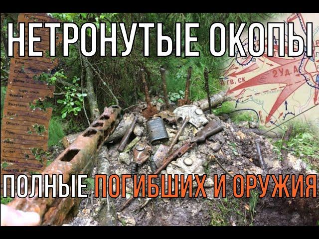 Нашли нетронутые окопы полные погибших и оружия! 16+