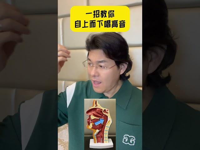 自上而下唱高音 #零基础学唱歌 #学唱歌 #能量高音