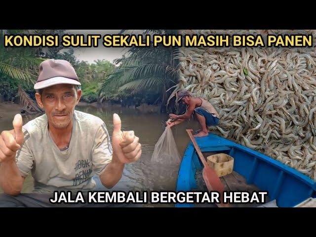 TERBUKTI..BEGINI CARA MENJALA UDANG AGAR HASIL MAKSIMAL