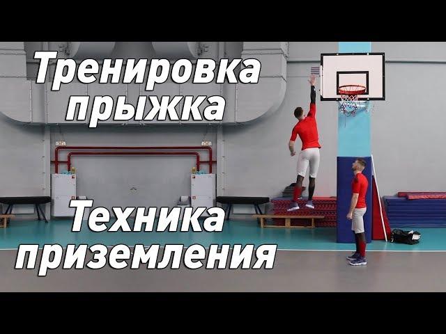 Техника приземления|Тренировка прыжка|Баскетбол|Волейбол|