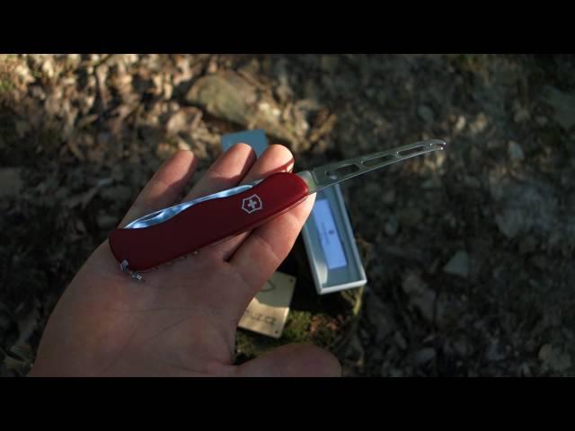 Victorinox Cheese knife