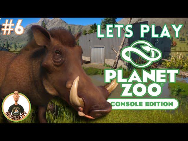 ITS TIME FOR A WARTHOG ENCLOSURE! Planet Zoo Console Sandbox Zoo