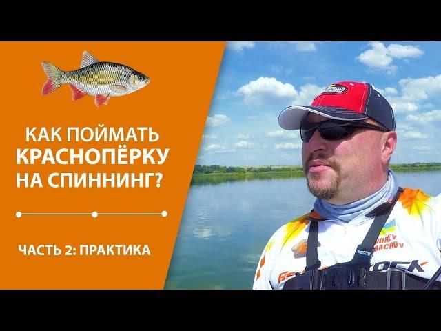 Как поймать краснопёрку на спиннинг? Часть 2 Практика