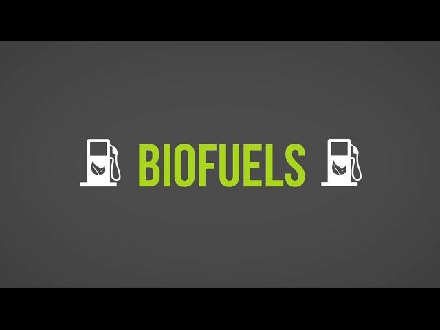 Biofuels 101