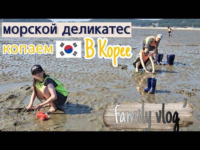 Один счастливый выходной с семьёй в Корее ^^ KOREA VLOG