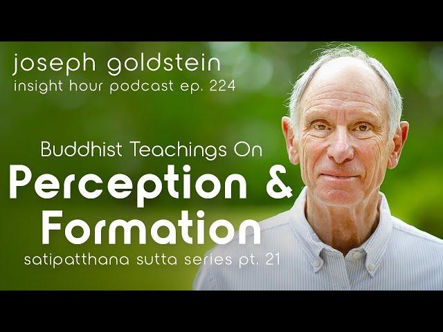 Buddhist Teachings on Perception & Formation with Joseph Goldstein – Insight Hour Ep. 224 (SSS #21)