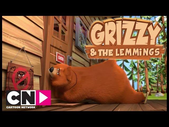 Ayılar Giremez | Grizzy ve Lemmingler | Boomerang Kuşağı