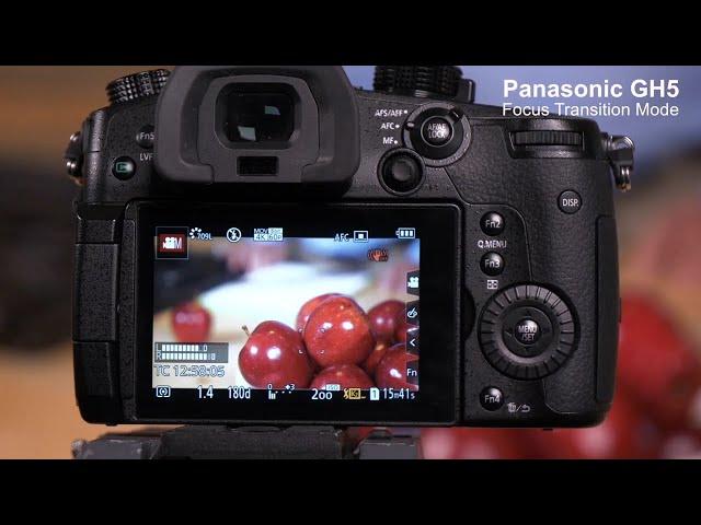 Lumix Academy GH5 | Focus Transition Function