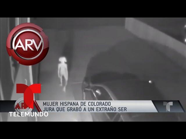 Mujer hispana asegura que grabó a un extraterrestre | Al Rojo Vivo | Telemundo