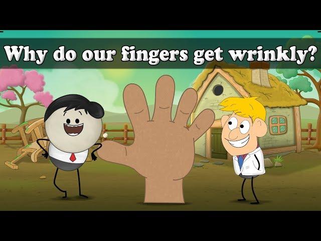 Why do our fingers get wrinkly? | #aumsum #kids #science #education #children