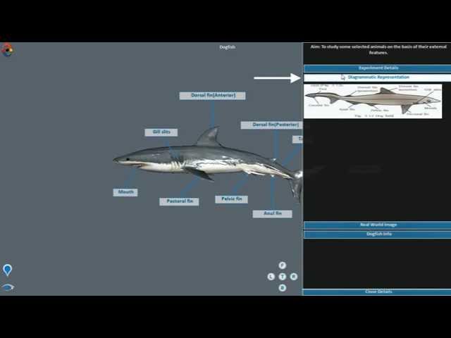 3D Bio iLab (CBSE) - demo video by LabInApp