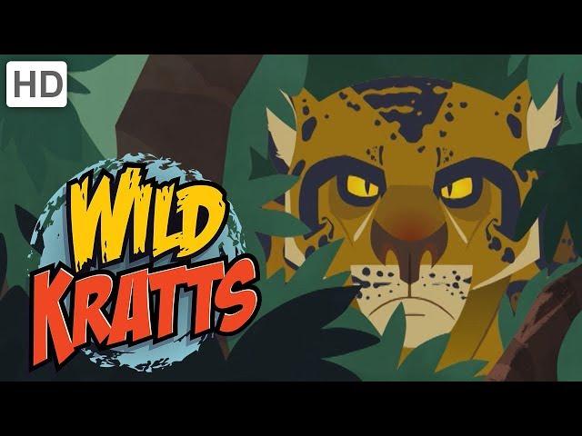 Wild Kratts - The Deadliest Felines in Nature