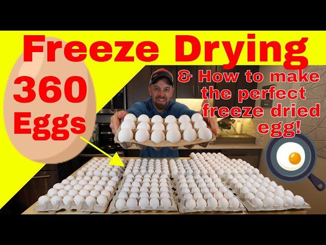 Freeze Drying 360 Eggs & How to make the Perfect Freeze Dried Egg!