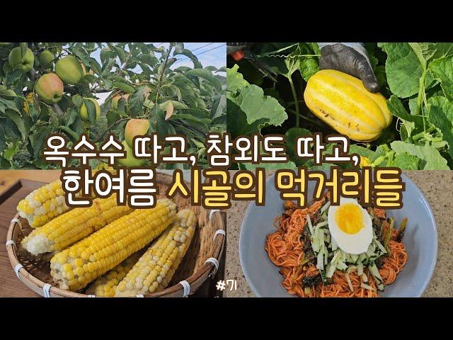 sub)first corn harvest! picking fruits and veggies, radish kimchi, eggplant pancakes, spicy noodle