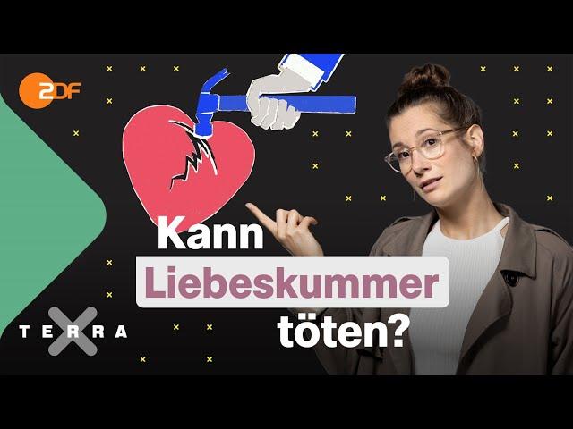 Liebeskummer: Warum wir so leiden und was dagegen hilft! | Terra Xplore mit Lisa Budzinski