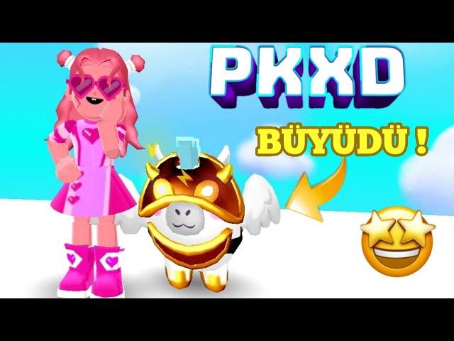 PK XD YENİ PETİMİ BÜYÜTÜYORUM ! DEVASA OLDU !! | PK XD MAYA