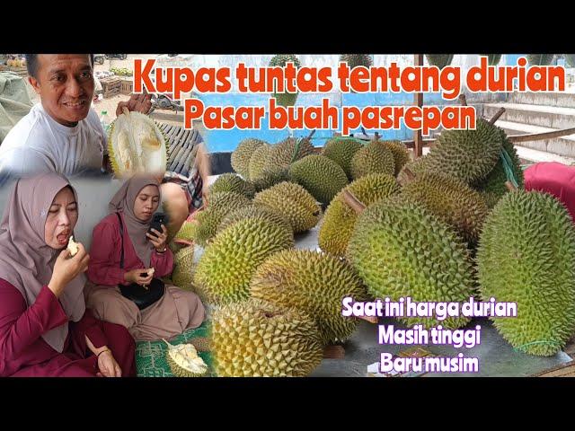 HARI RABU INFO LENGKAP TENTANG DURIAN JENIS DAN HARGANYA DI PASAR BUAH PASREPAN kupas tuntas durian