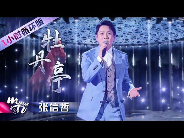 张信哲歌声和汤显祖笔下的爱情有多配！走进歌曲《牡丹亭》中那至纯至清的世界（一小时循环版）| 中国音乐电视 Music TV