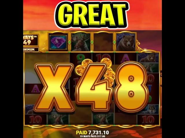 BISON RISING MEGAWAYS SLOT  UP TO X50 MULTIPLIER  MEGA BIG WINS‼️ #shorts