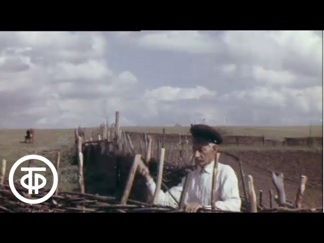 Вешенская земля (1974)