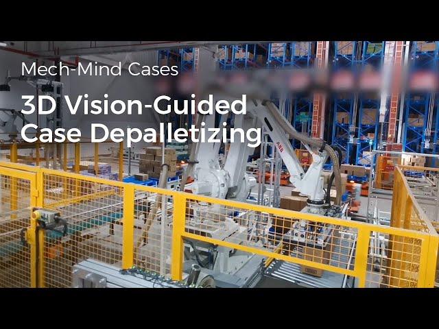 3D Vision-Guided Case Depalletizing with Mech-Mind