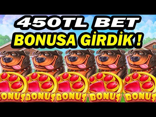 THE DOG HOUSE | BÜYÜK RİSK ALDIK VURGUNU YAPTIK !!!  #thedog #slot #slotoyunları #casino