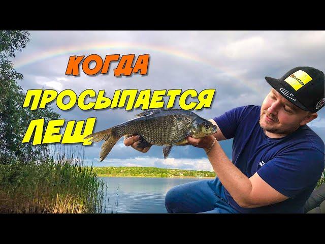 Ловля крупного Леща на Фидер! Тактика ловли ночью!