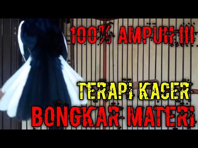 100% AMPUH ! TERAPI KACER BUKA EKOR DAN BONGKAR MATERI