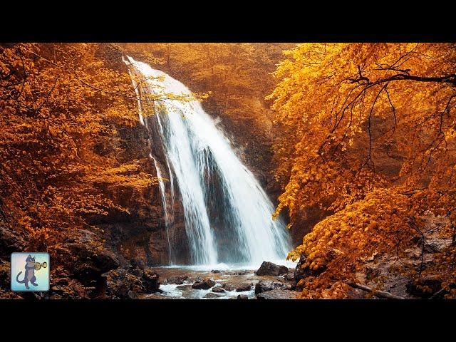 12 HOURS of Autumn Forest Waterfall  Beautiful Nature Scenery & Waterfall Sounds (No Music)