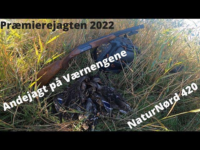 NaturNørd 420. Præmierejagten på Værnengene 2022