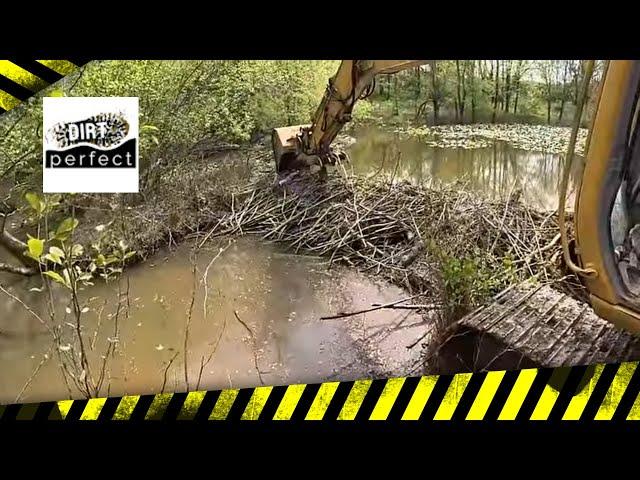 Incredible Release Of Water After Massive Beaver Dam Removal!