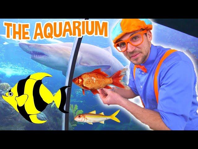 Blippi Visits The Aquarium and MORE! | Educational Fish and Animals for Kids and Toddlers