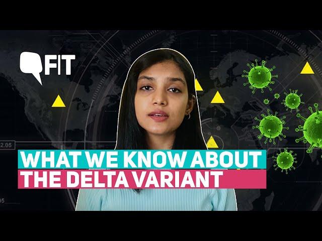 Explained | What is the Delta and Delta Plus Variant? How Does it Impact Vaccines? | The Quint