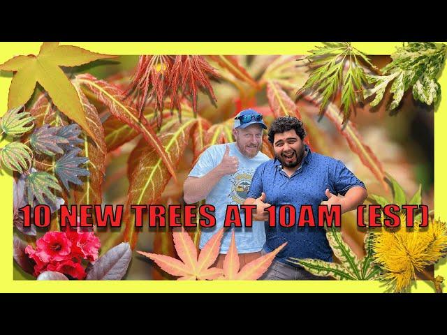 These Japanese Maples Will Make you Question Reality| 10@10 for November 5th w/ Corbin and Tim