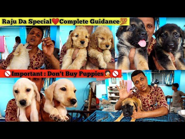 Raju Da Special | Dog Guide For Beginners | Dog Health Care Bengali | Dog Caring Tips | Vaccination