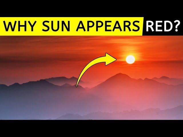 Why SUN Appears RED During Sunrise And Sunset? | Sun |Science | Knowledge | Education | Sale | WHY?